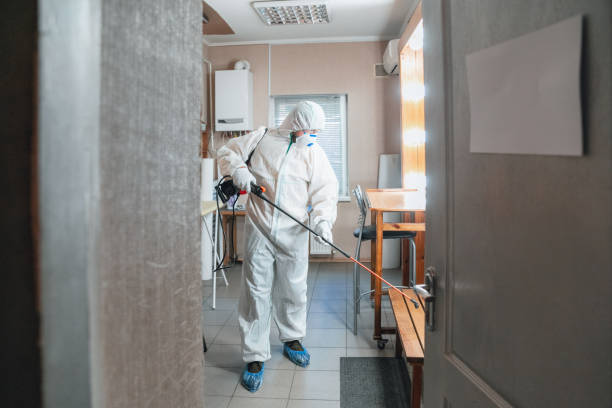 Best Mold Odor Removal Services  in Wamac, IN