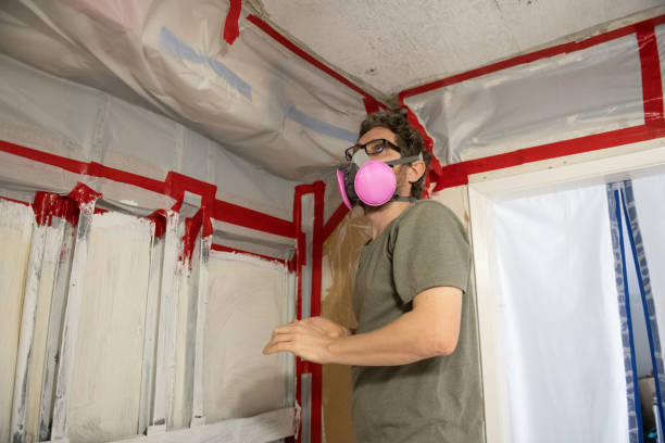 Best Mold Odor Removal Services  in Wamac, IN